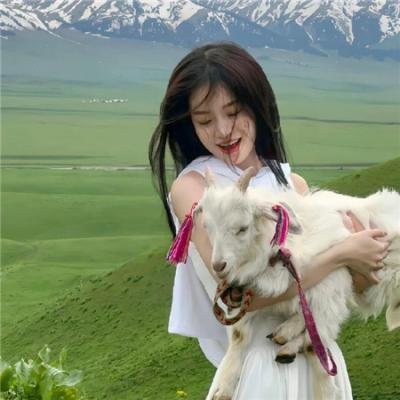 零的焦点